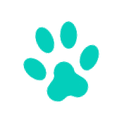 paw alternative